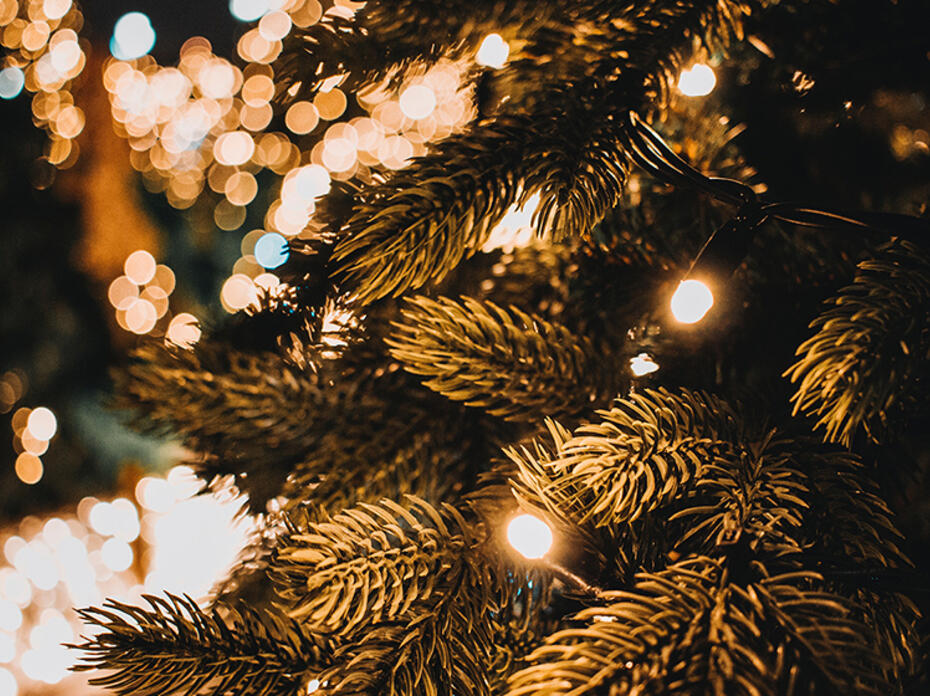A Christmas tree decorated with white lights. 