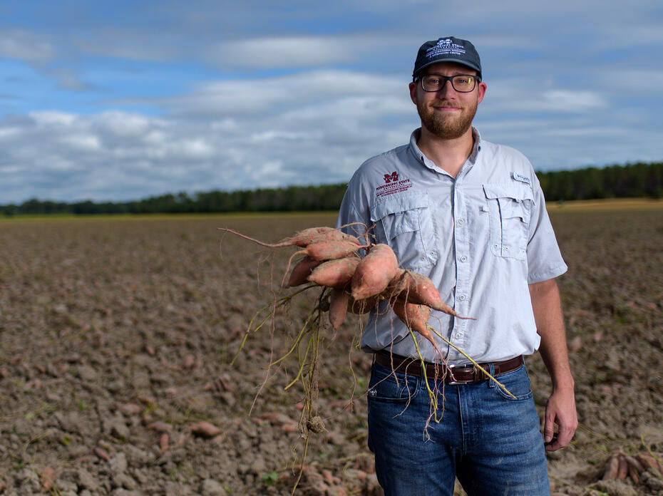 A man stands in a field with sweet potatoes in his hand.