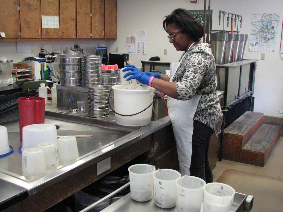A woman works in a laboratory.