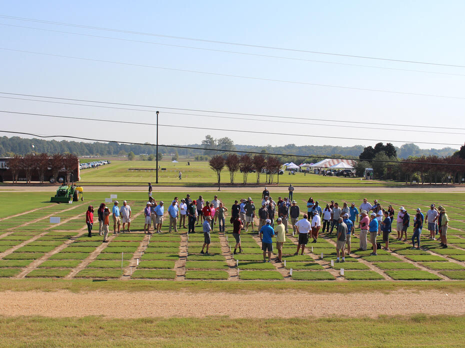 Dozens of people are scattered across a grassy field marked into squares.