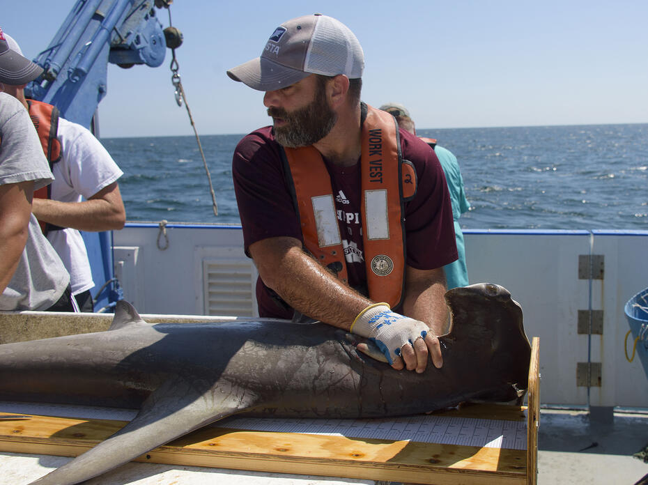 Marcus Drymon with a shark