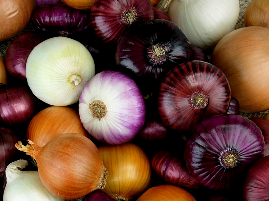 Different color of onions. 