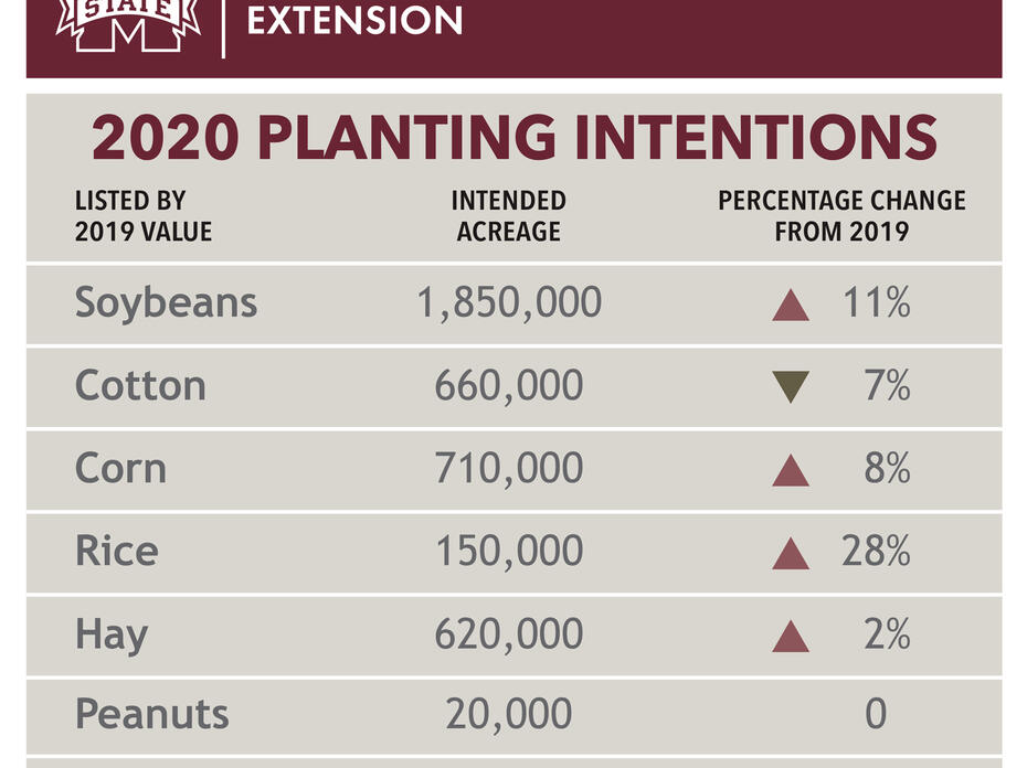 Graphic showing 2020 planting intentions