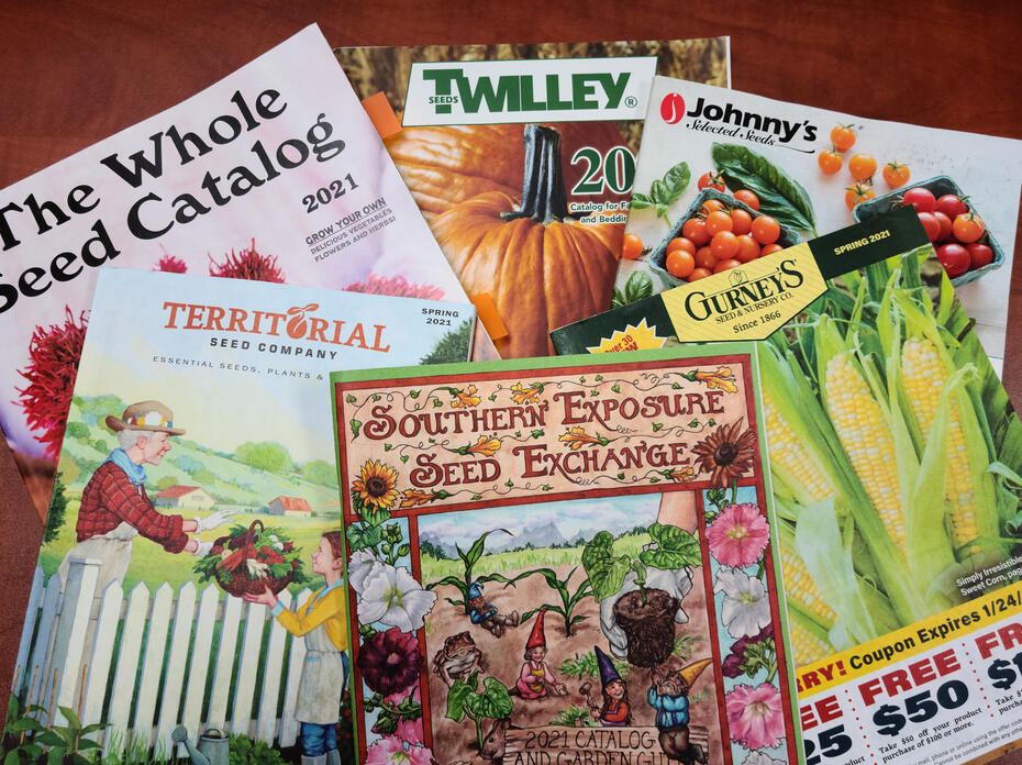 Six garden catalogs are displayed.