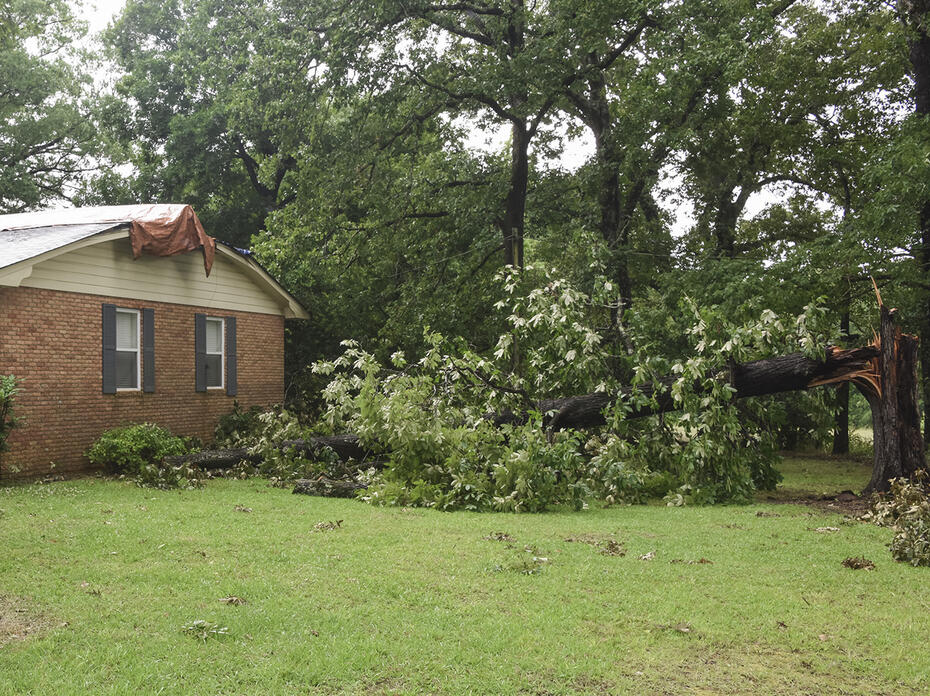 A large hardwood tree is snapped off and lays on the ground beside a house.