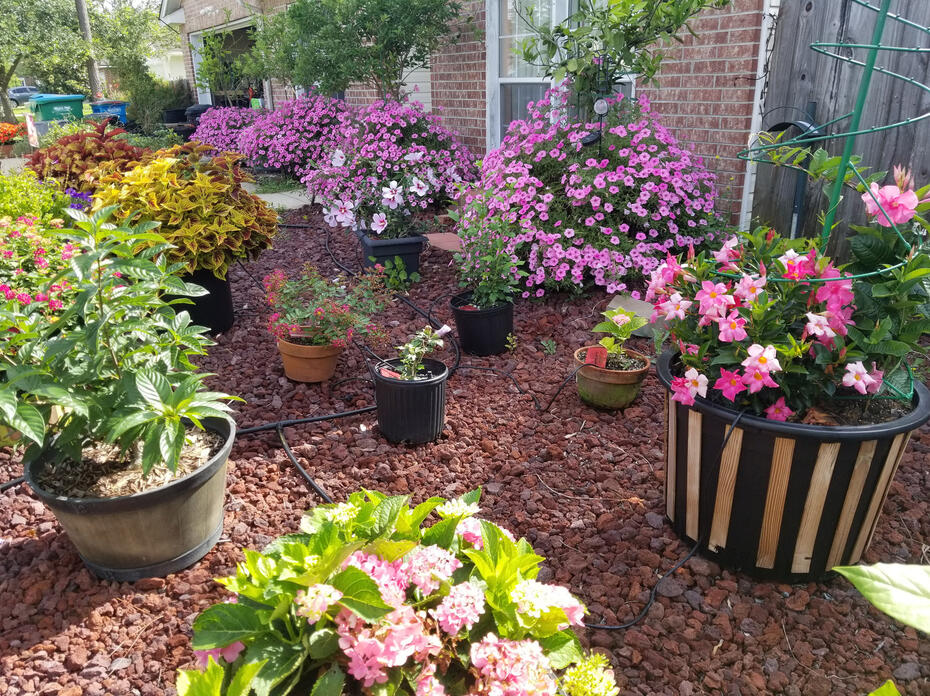 A variety of different sized and colored containers rest on a bed of gravel.