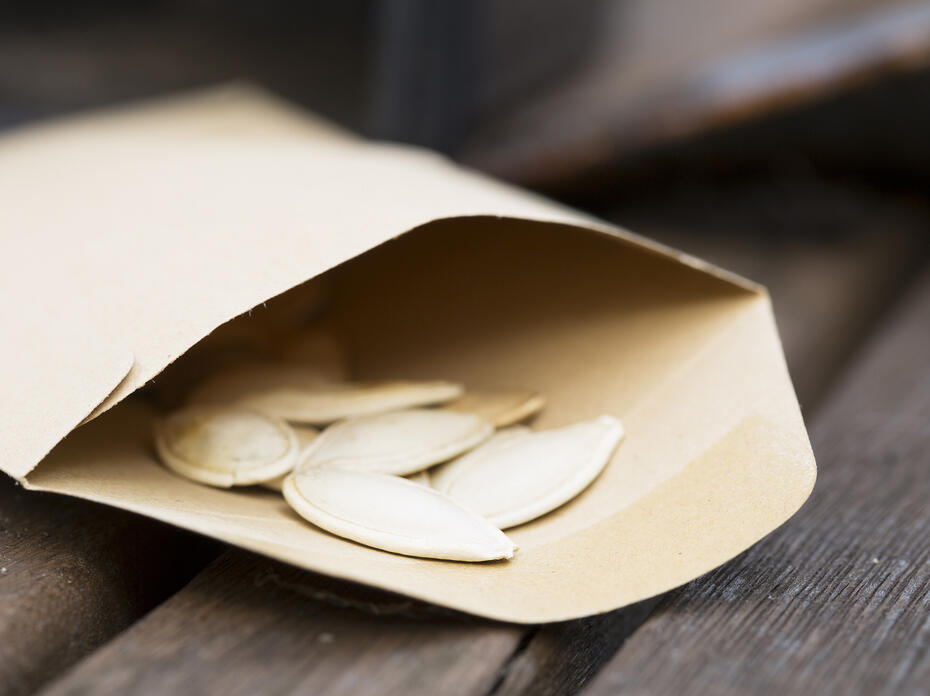 Large, flat seeds are visible inside a paper packet.