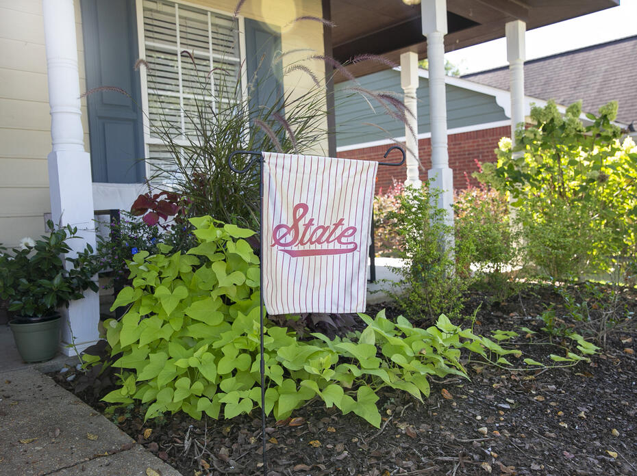A garden flag stands in the landscape.