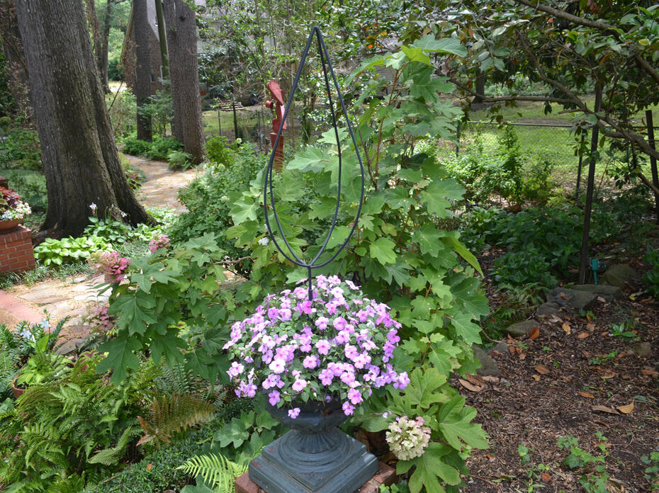 Purple flowers bloom from a container at the center of a garden.