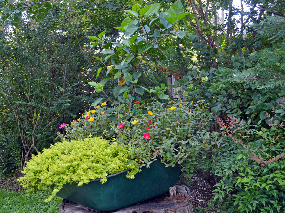 An old wheelbarrow filled with flowers sits on a tree stump.