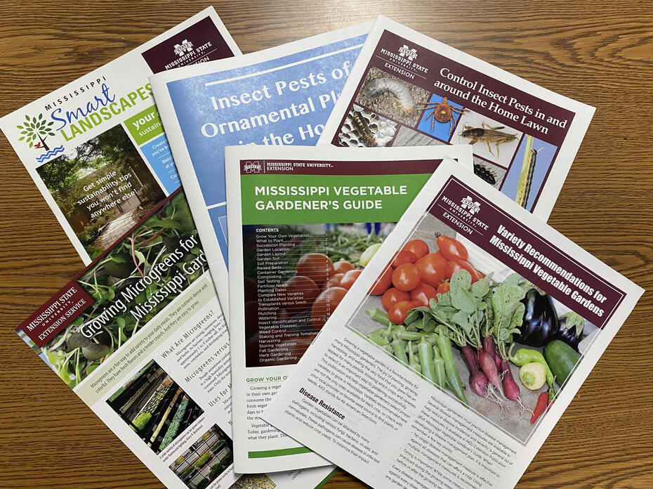 Publications are spread on a table.