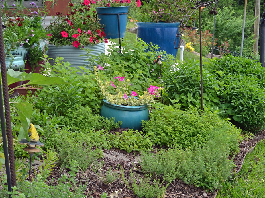 Blue containers hold plants in a landscape.