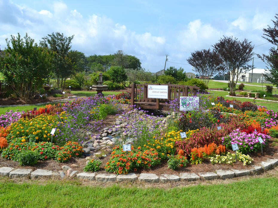 A flower garden is circled by stones.