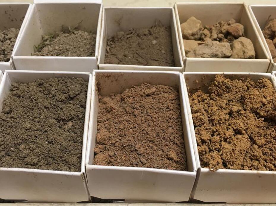 Soil testing boxes full of soil waiting to be tested.