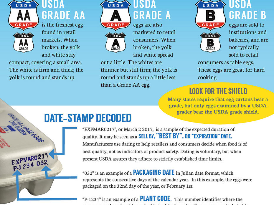 USDA graphic explains egg grades and sizes and what the carton labels mean.