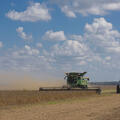 A large, green combine machine plows a soybean field while a green tractor rides beside it.