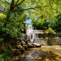 Dunn's Falls.
