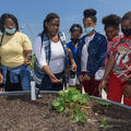 A group of teens examining a plant with a teacher.