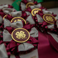 Numerous 4-H medals with maroon ribbons on a table.