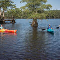 Two children kayaking on the water.