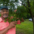 A Black man wearing a baseball hat and smiling, standing holding a pecan treebranch.