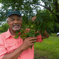A Black man wearing a baseball hat and smiling, standing holding a pecan treebranch.
