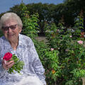  A woman seated among rose bushes, holding roses, and laughing.