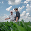 Standing in a soybean field, a person gestures toward another person.