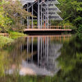 Pavilion surrounded by trees