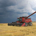 Harvesting machine in a rice field.