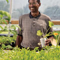 A man holding a styrofoam cup with a plant sprout.
