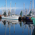 Boats in a harbor.