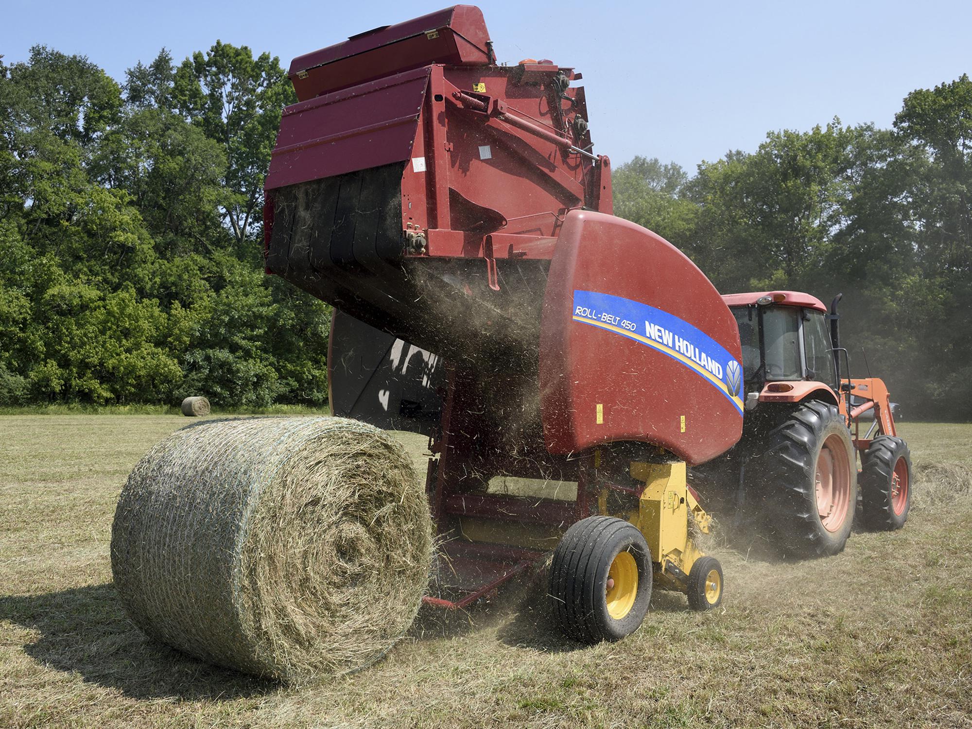 Pests Weaken Hay Production Mississippi State University Extension Service 1387