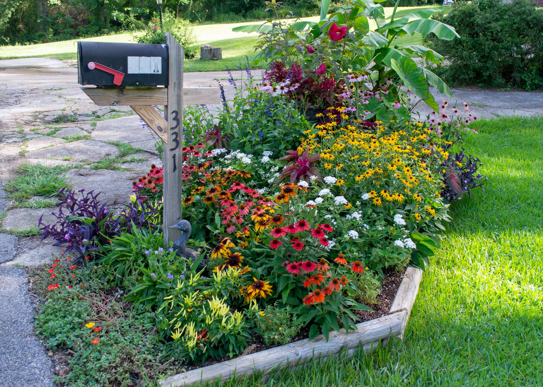 Welcome Visitors With Mailbox Garden Mississippi State University welcome-visitors-with-mailbox-garden-mississippi-state-university