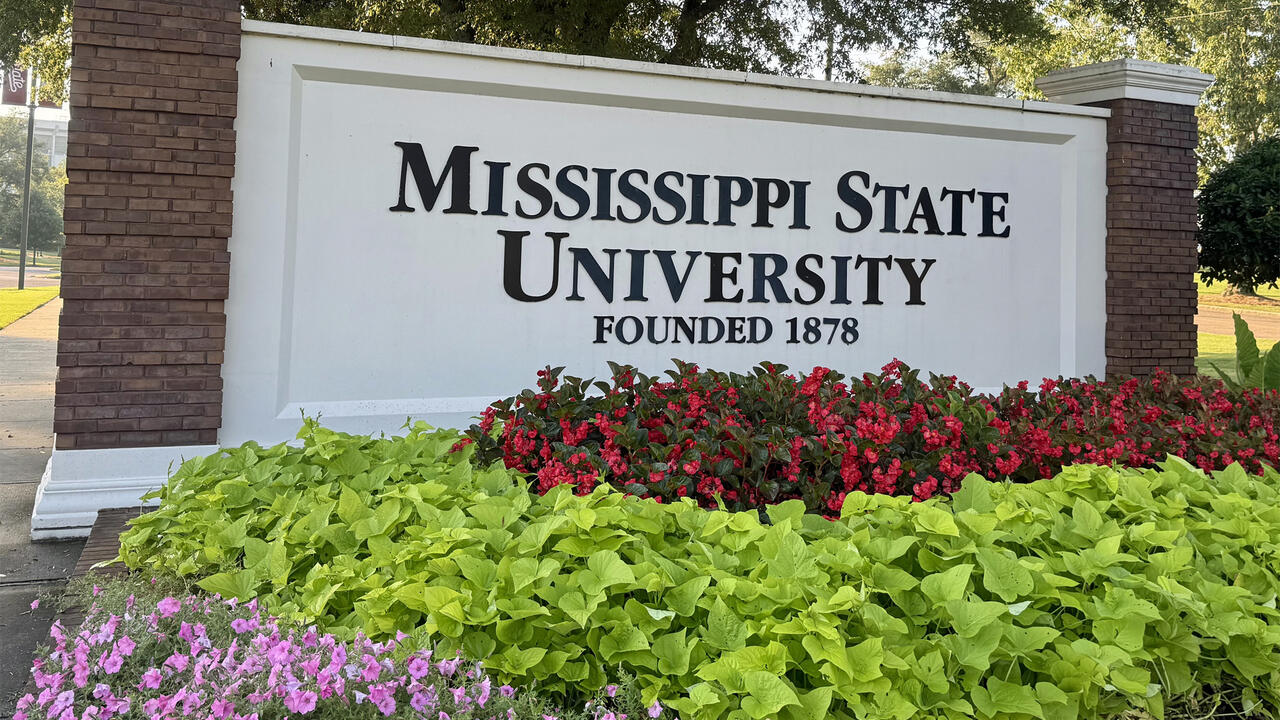 Flowers bloom in front of a university sign.