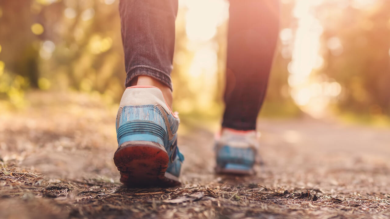 Close-up of woman’s legs hiking in the forest.