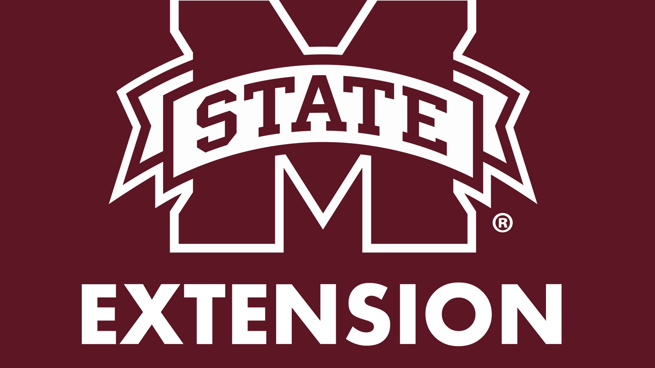 MSU Extension logo