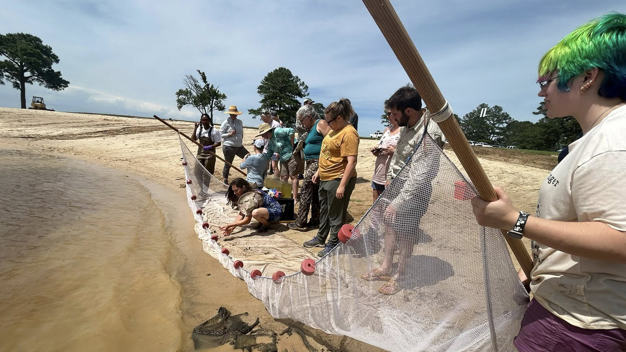 A group of people casting a new on the shore of the ocean.
