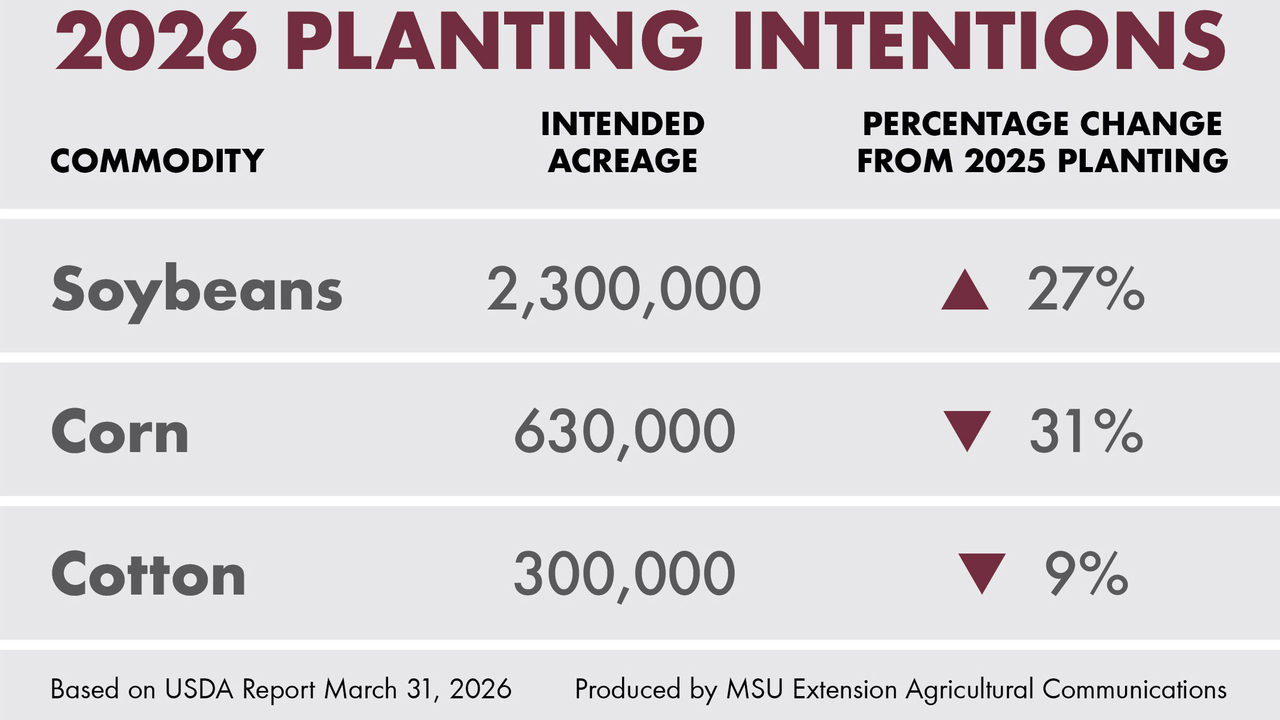 A chart shows the number of acres that Mississippi producers intend to plant in 2026 for the following crops: soybeans, 2.3 million acres, which is 27 percent more than 2025’s planted acreage; corn, 630,000 acres, which is a 30 percent decrease from 2025; and cotton, 300,000 acres, which is a 9 percent decrease from last year’s cotton planting. 