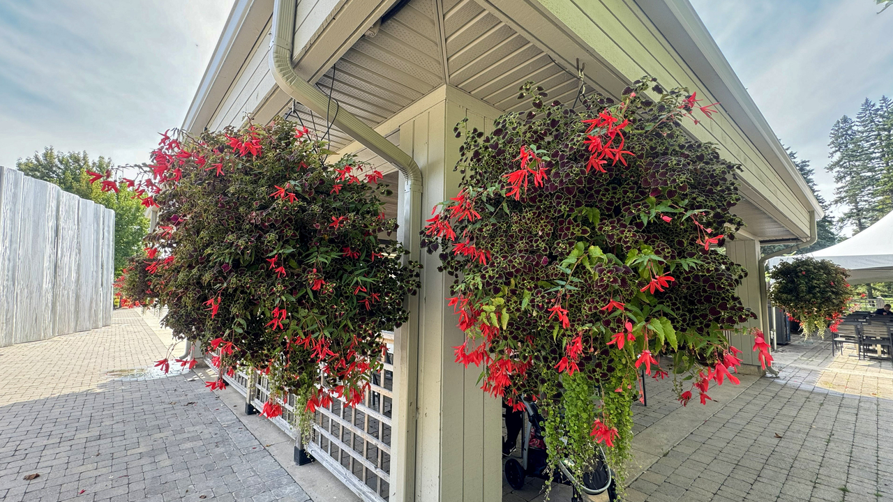 Two baskets hang from the eaves of a house.