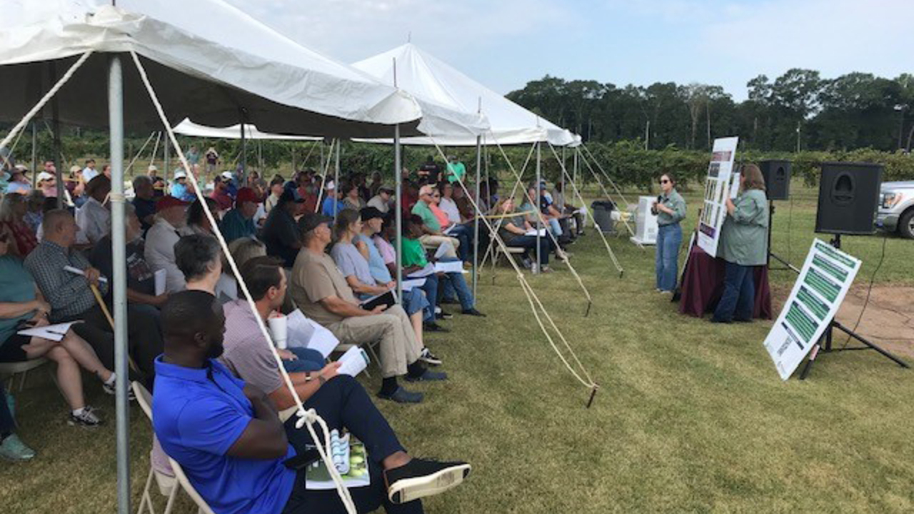 Presenters address a large crowd sitting under outdoor tents.