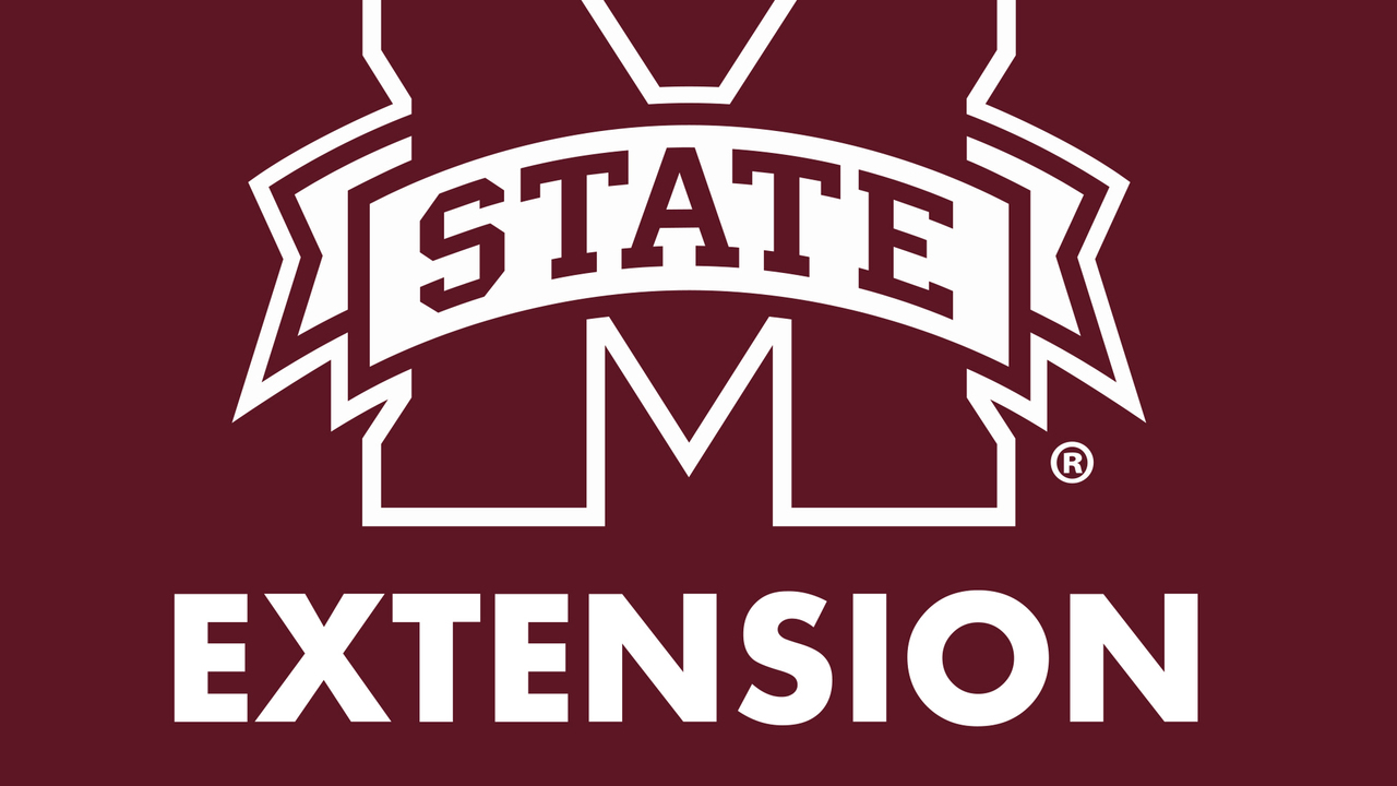 MSU Extension logo