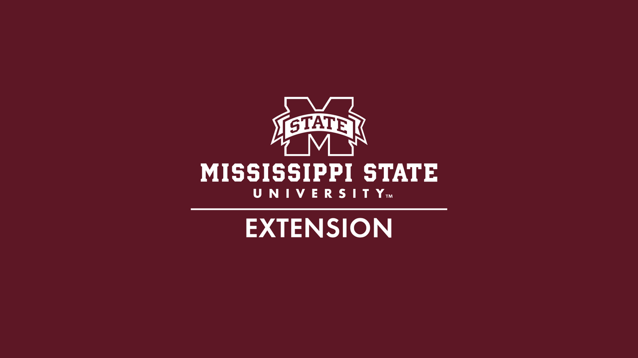 White MSU Extension Logo on Maroon Banner