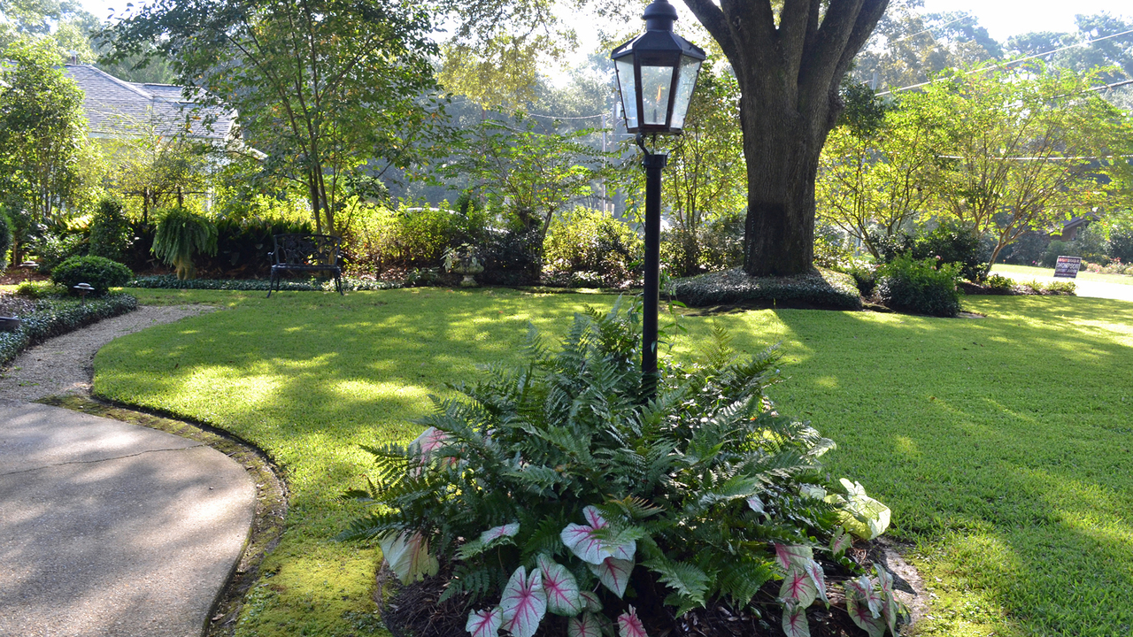 A lamp in a yard is surrounded by colorful plants.