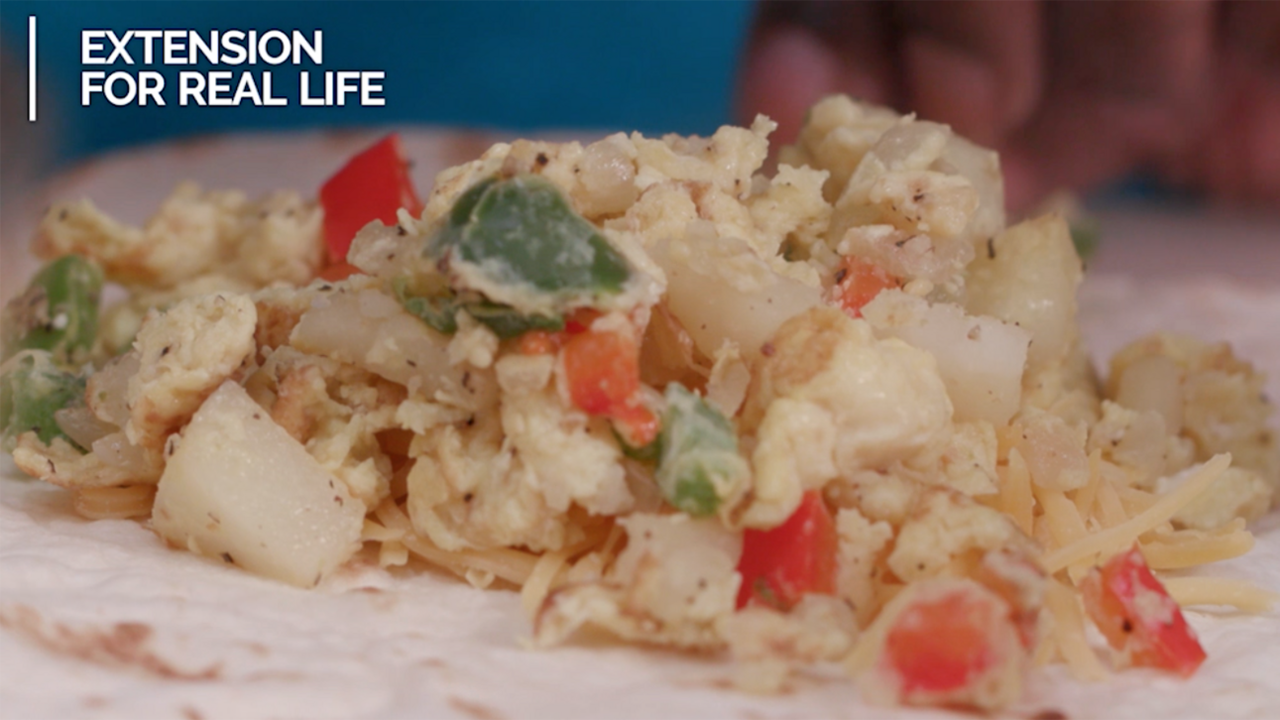 A mixture of diced onions, green and red bell peppers, scrambled eggs, and shredded cheese on a flour tortilla.