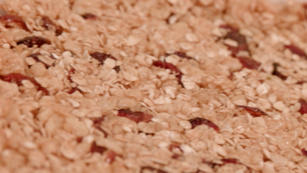 A close-up of honey-cranberry granola bars that shows in fine detail the oats and cranberries.