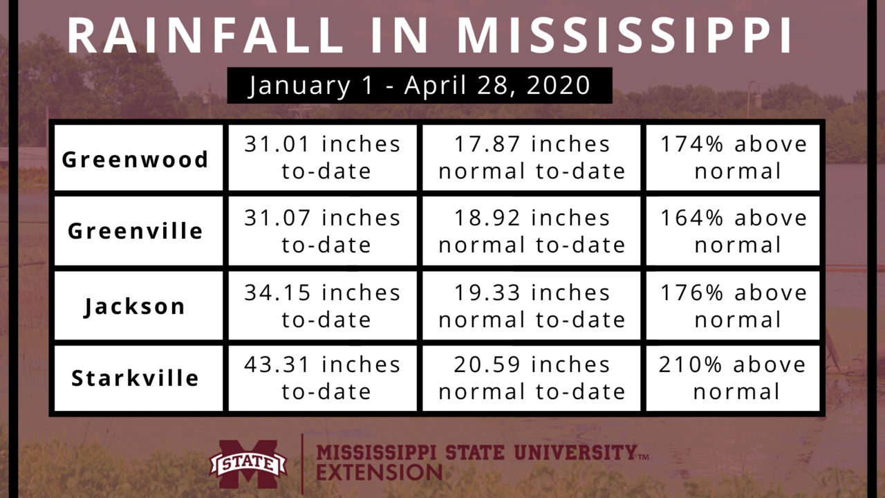 Graphic showing Mississippi rainfall totals in 2020.
