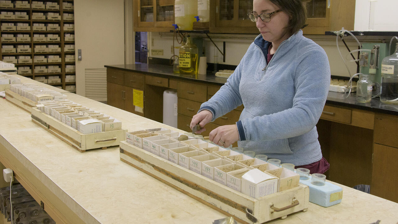 Small, cardboard containers in trays lie in a row on a workbench while a woman works with the contents of one.