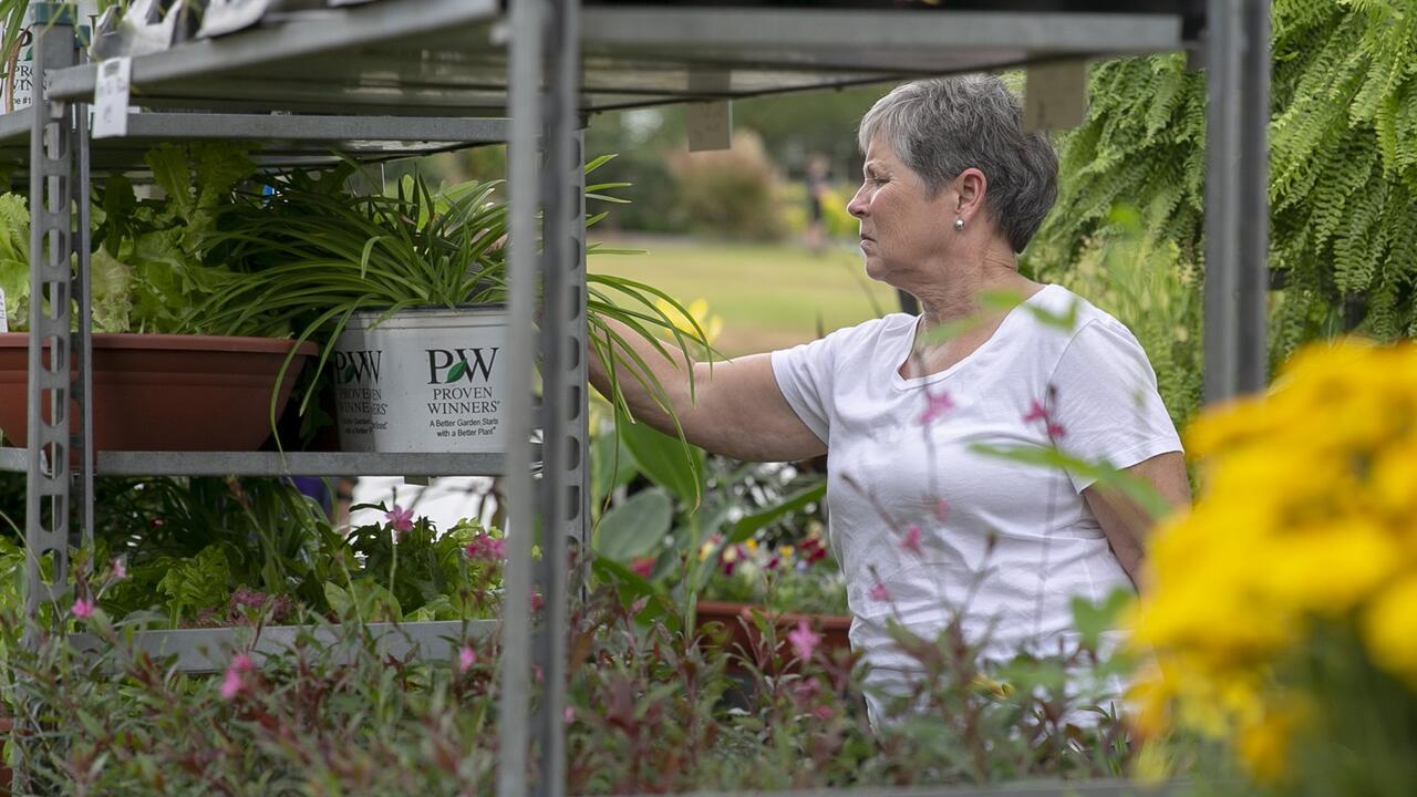 A woman reaches for a plant on an outdoor shelving unit.