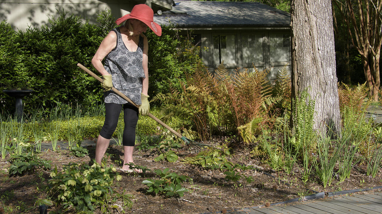 A woman uses a hoe to tend a flower bed.